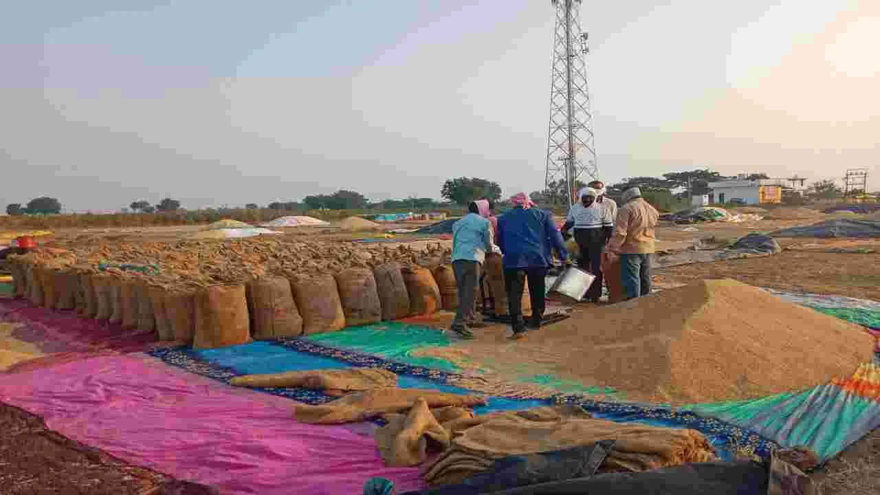 ఊపందుకున్న  ధాన్యం కొనుగోళ్లు 