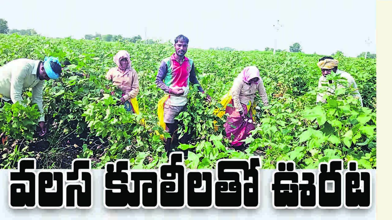  వలస కూలీలతో ఊరట 