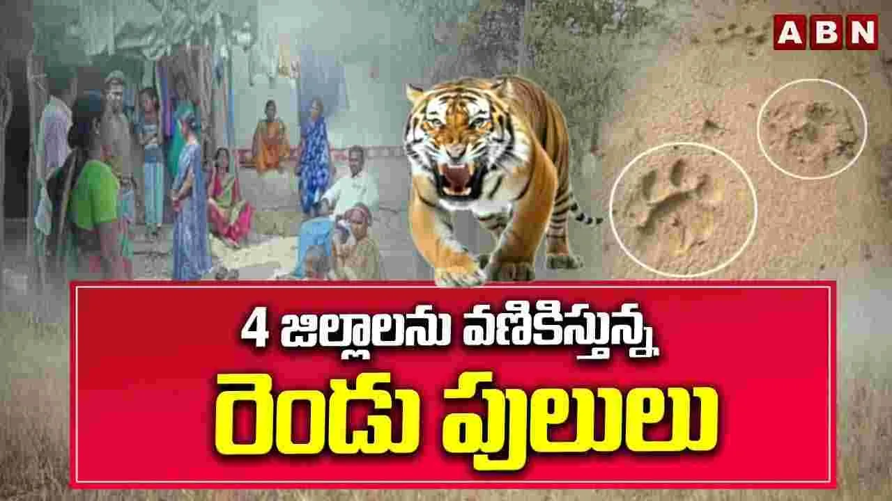 4 జిల్లాలను వణికిస్తున్న రెండు పులులు