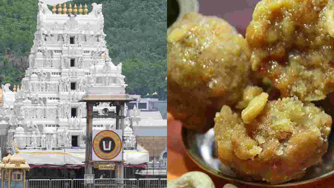 Tirumala Laddu: తిరుమల లడ్డూ వివాదంపై బిగ్ అప్డేట్..