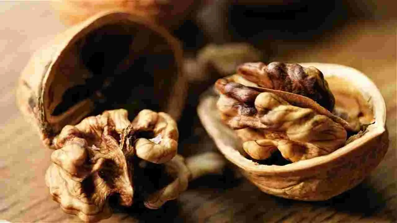 Walnuts: వాల్‌నట్స్‌ తింటున్నారా.. ఇక ఆ క్యాన్సర్ల నుంచి మీరు సేఫ్