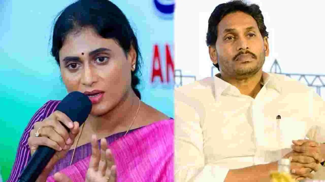 YS Sharmila: మీకు ఓట్లేసింది ఇందుకేనా.. జగన్‌‌ను ఏకిపారేసిన షర్మిల