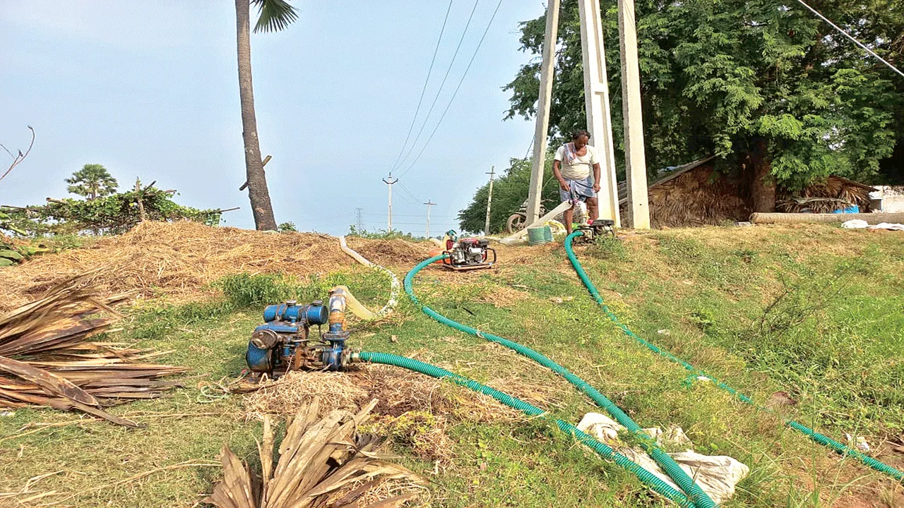  చి‘వరి’ ప్రయత్నం