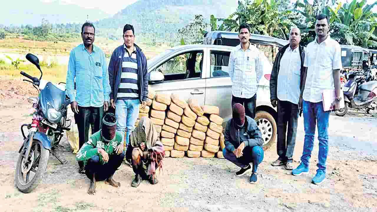 135 కిలోల గంజాయి స్వాధీనం  