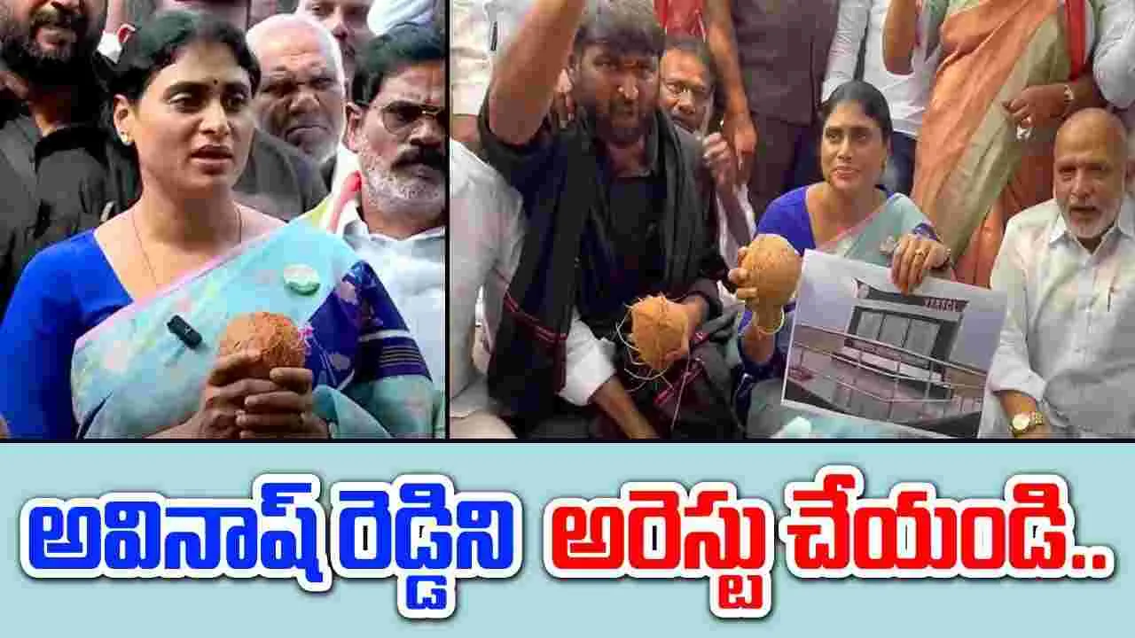 YS Sharmila: కడప స్టీల్ ప్లాంట్ అంటే కొబ్బరి కాయలు కొట్టే ప్రాజెక్టా?: వైఎస్ షర్మిల