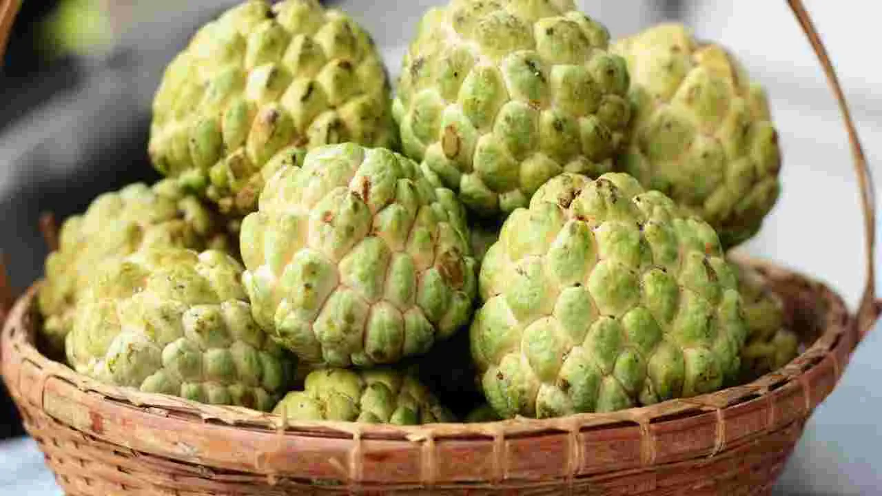 Custard Apple: సీతాఫలం తింటే ఎన్ని ప్రయోజనాలో తెలుసా..