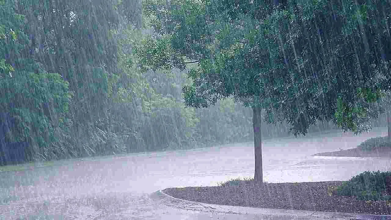 Rains: 15 జిల్లాల్లో వర్షాలు కురిసే అవకాశం