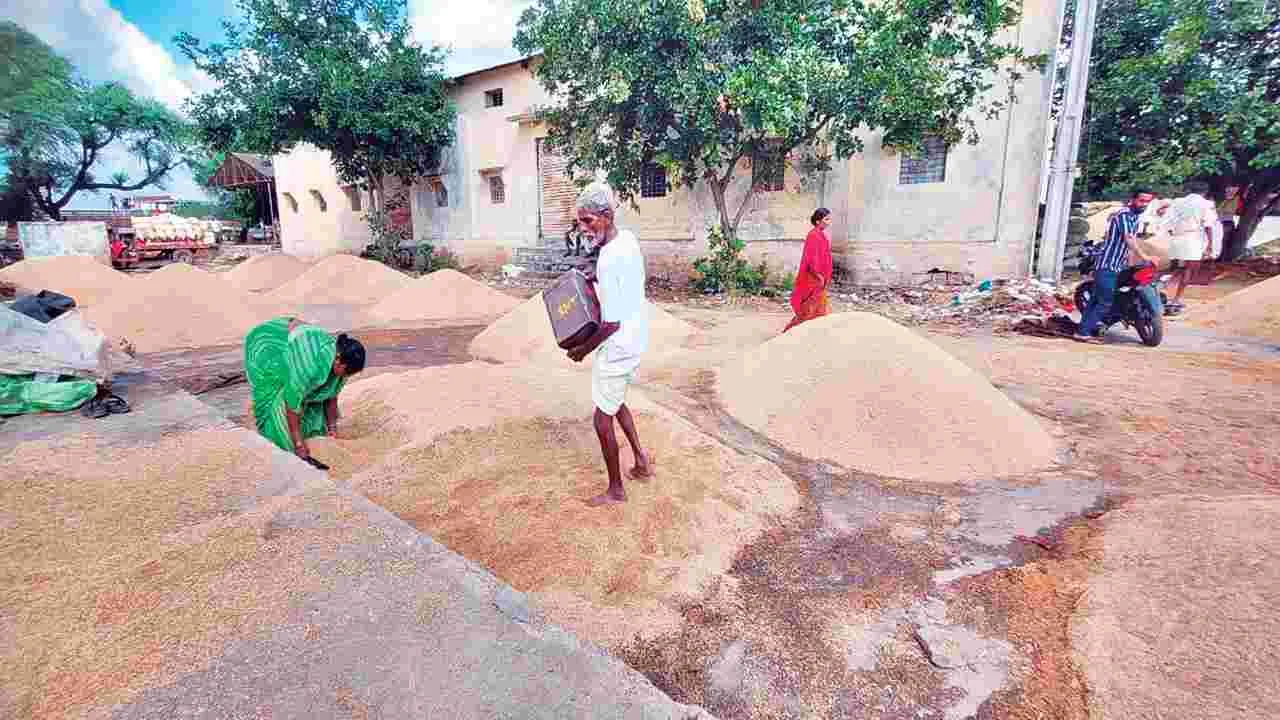 ధాన్యం తరలింపునకు చర్యలు