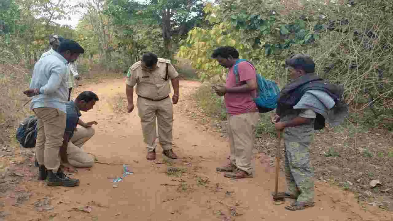 జిల్లాలో పెరుగుతున్న పులుల సంచారం 