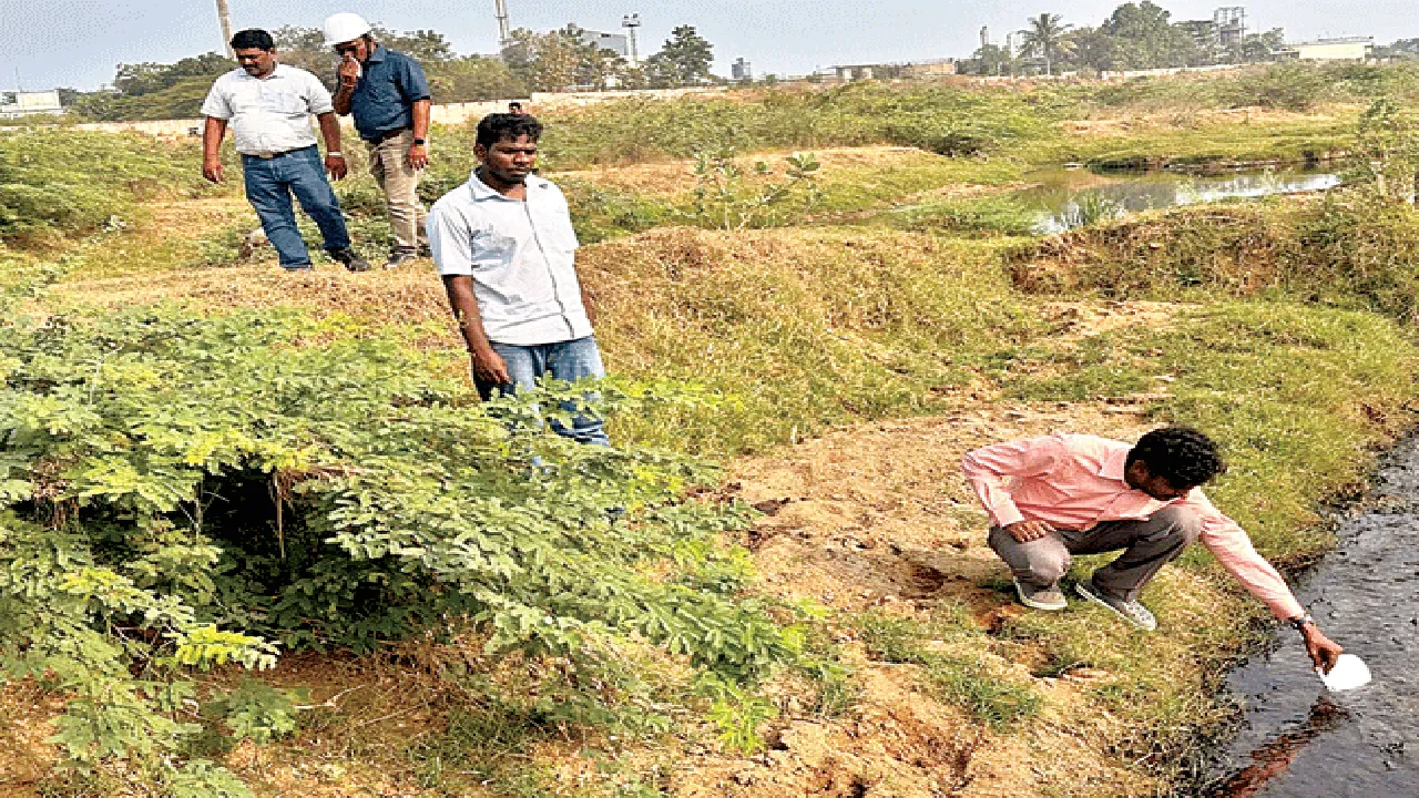 కందివలస గెడ్డ పరిశీలన