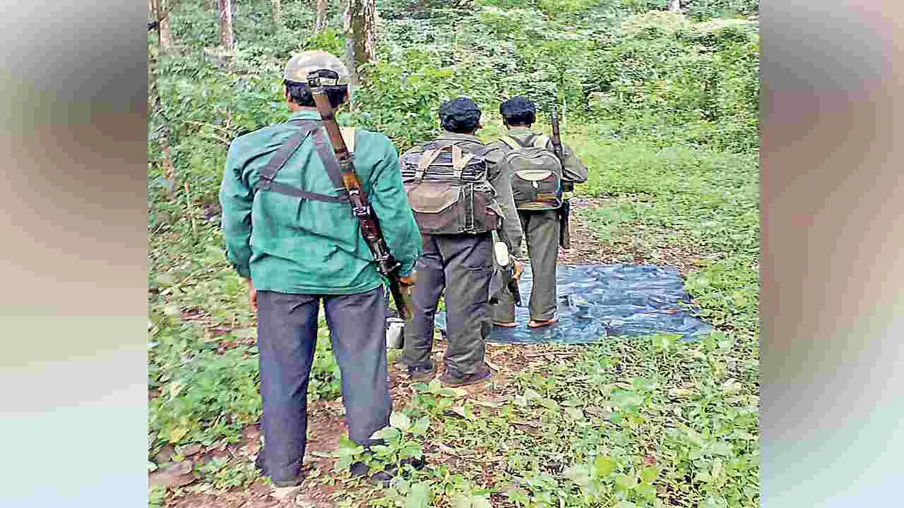 అరణ్యంలో హైటెన్షన్‌..!