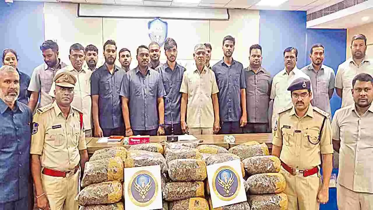 Drug Smuggling: చిత్రకొండలో సాగు.. లంబసింగి నుంచి సరఫరా