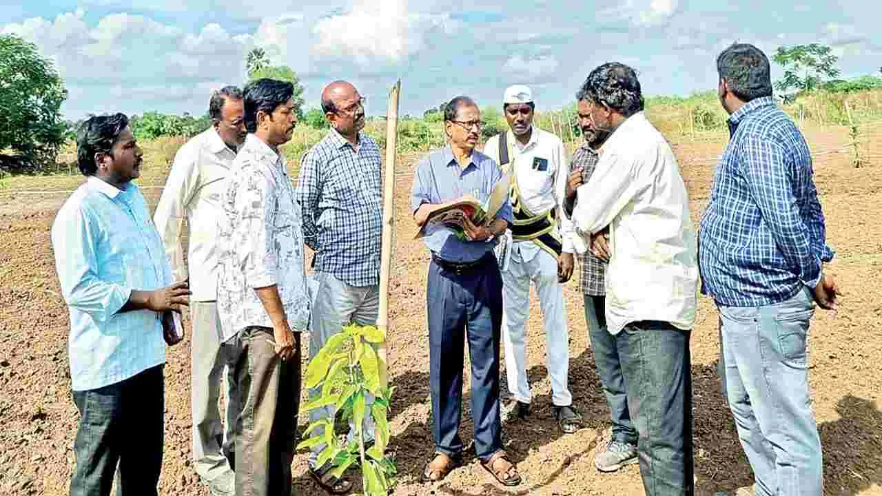 ‘పనుల్లో నాణ్యత పాటించాలి’ 