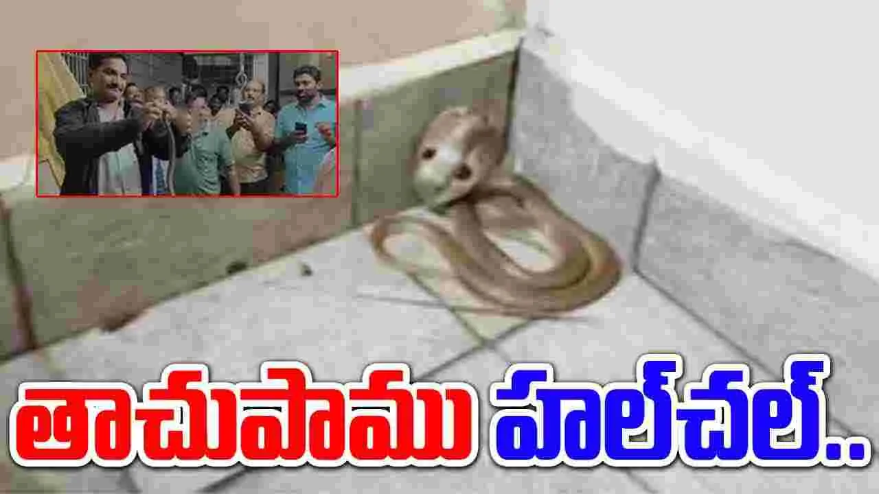 Tiruvuru: భయంతో పరుగులు పెట్టిన మహిళ.. విషయం ఇదే..