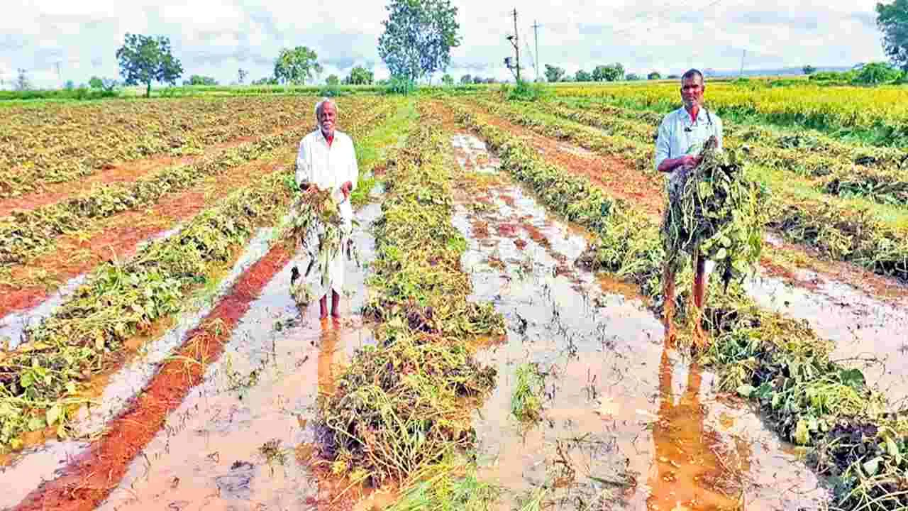 Visakhapatnam :  రాష్ట్రంలో పలుచోట్ల వర్షాలు