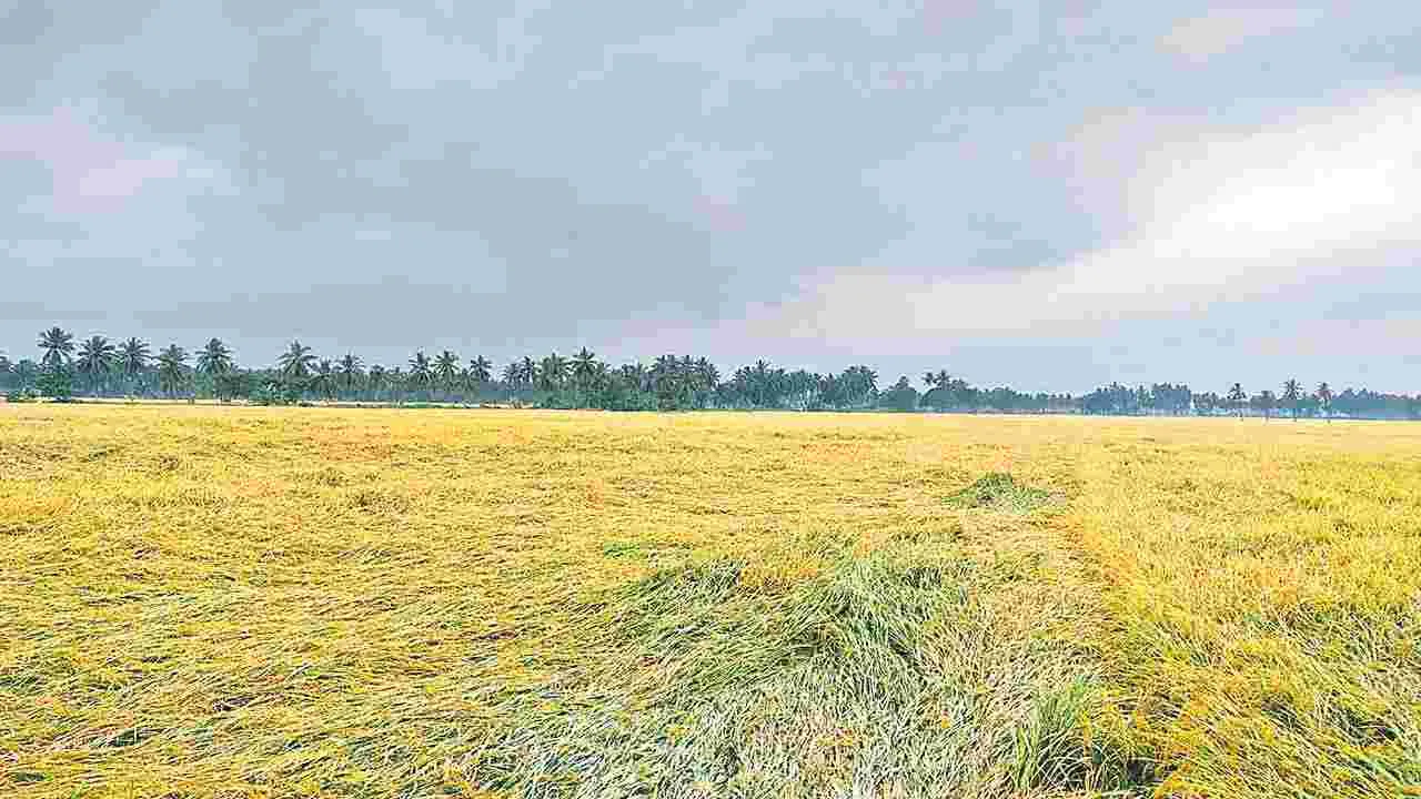 Cyclone : ‘ఫెంగల్‌’ అలజడి