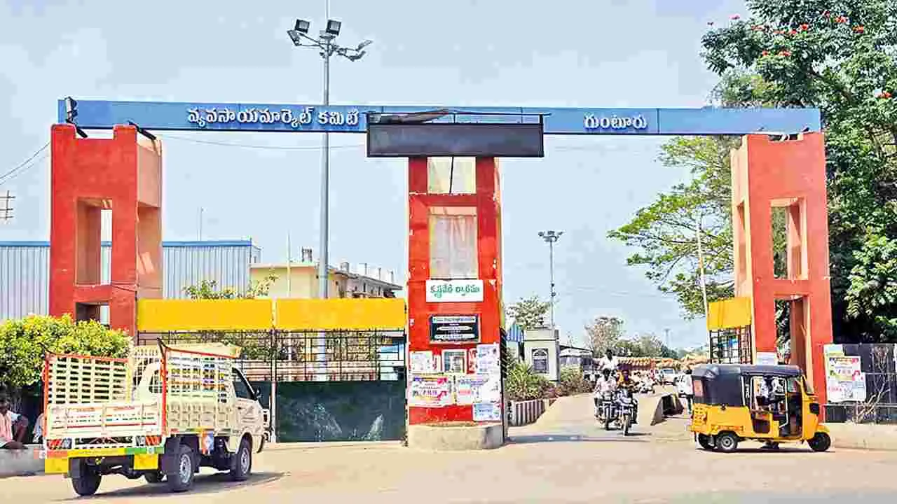 Guntur Chilli Yard: మిర్చి మేత  రూ.347 కోట్లు!