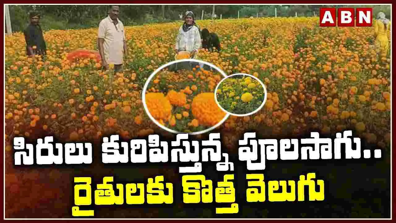 Farmers: రైతుల జీవితాల్లో కొత్త వెలుగు.. ఎందుకంటే..?