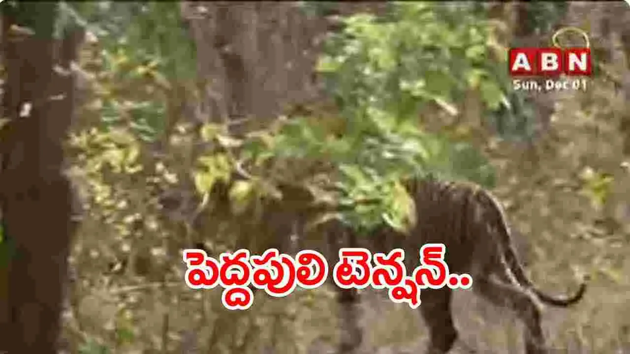 144 Section: కొమురం భీం జిల్లా: కాగజ్‌నగర్, సర్పూర్ టీ మండలాల్లో 144 సెక్షన్