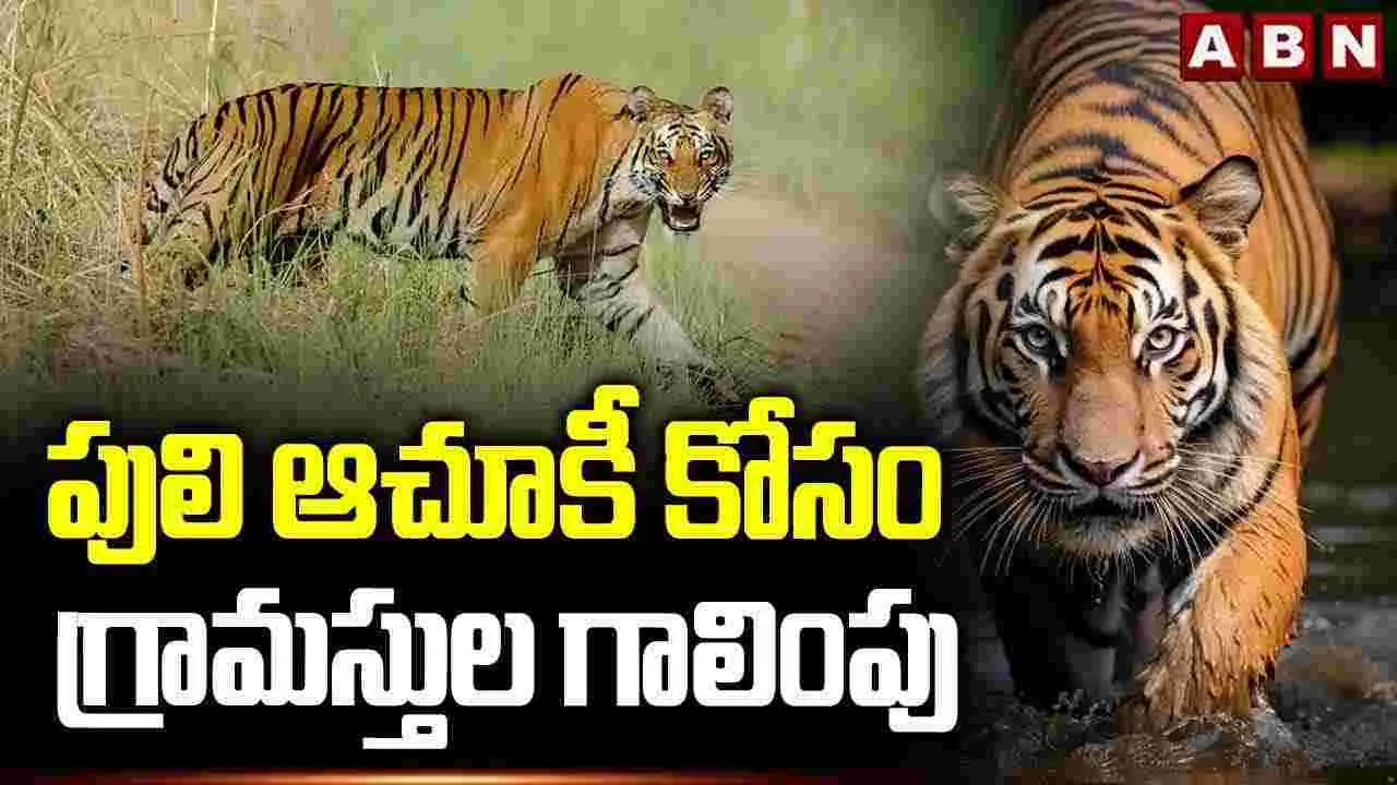 Tiger Tension: పులి సంచారం.. భయాందోళనలో ప్రజలు..