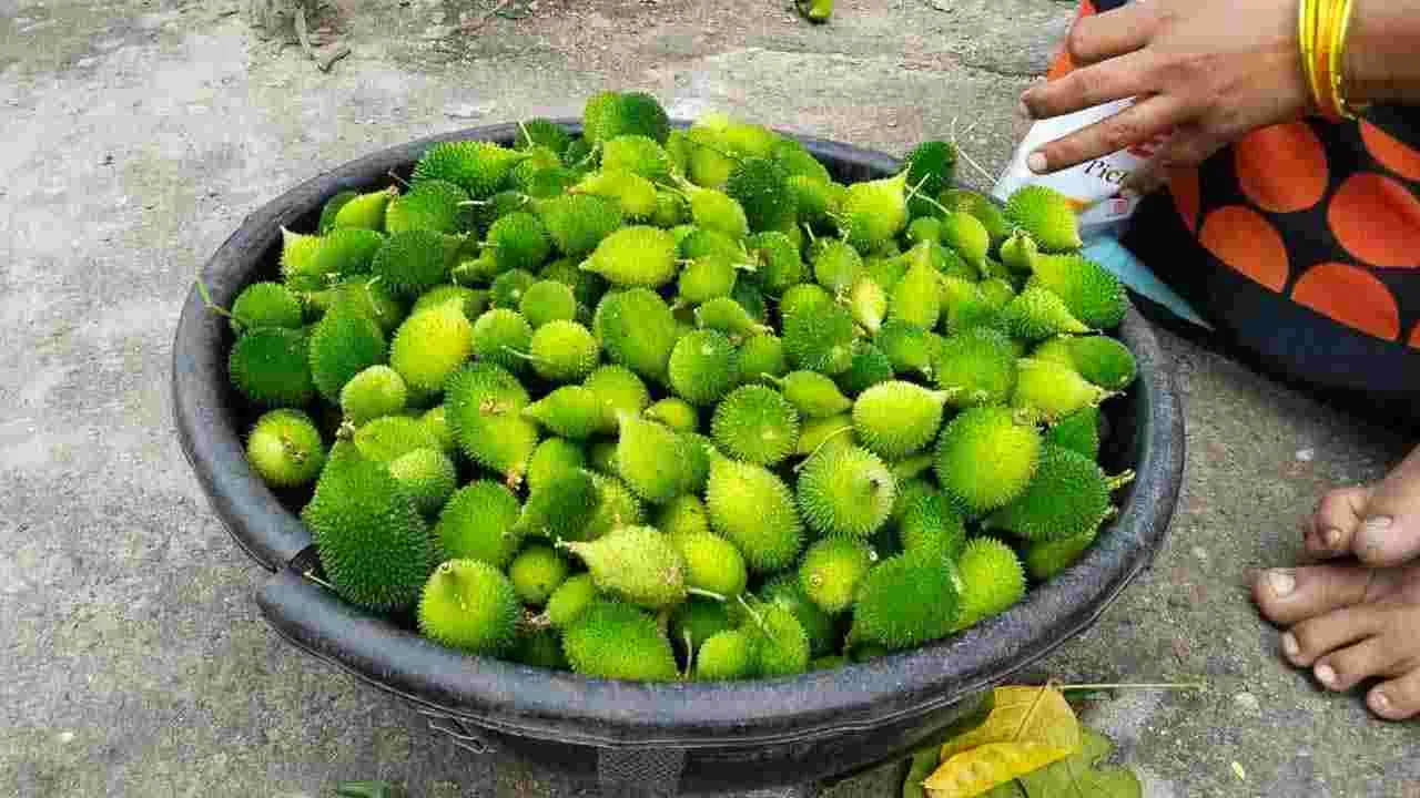 బోడ కాకరకాయ తింటే ఇన్ని లాభాలా..