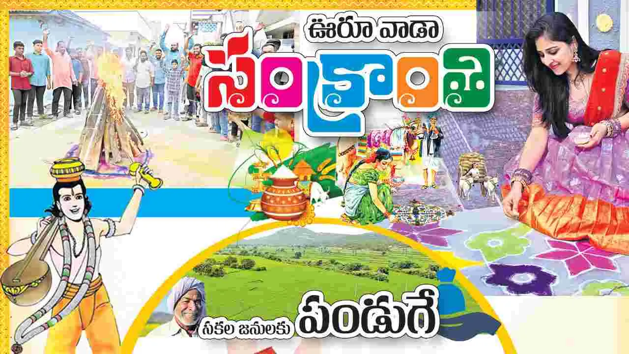 ఊరూ వాడా సంక్రాంతి
