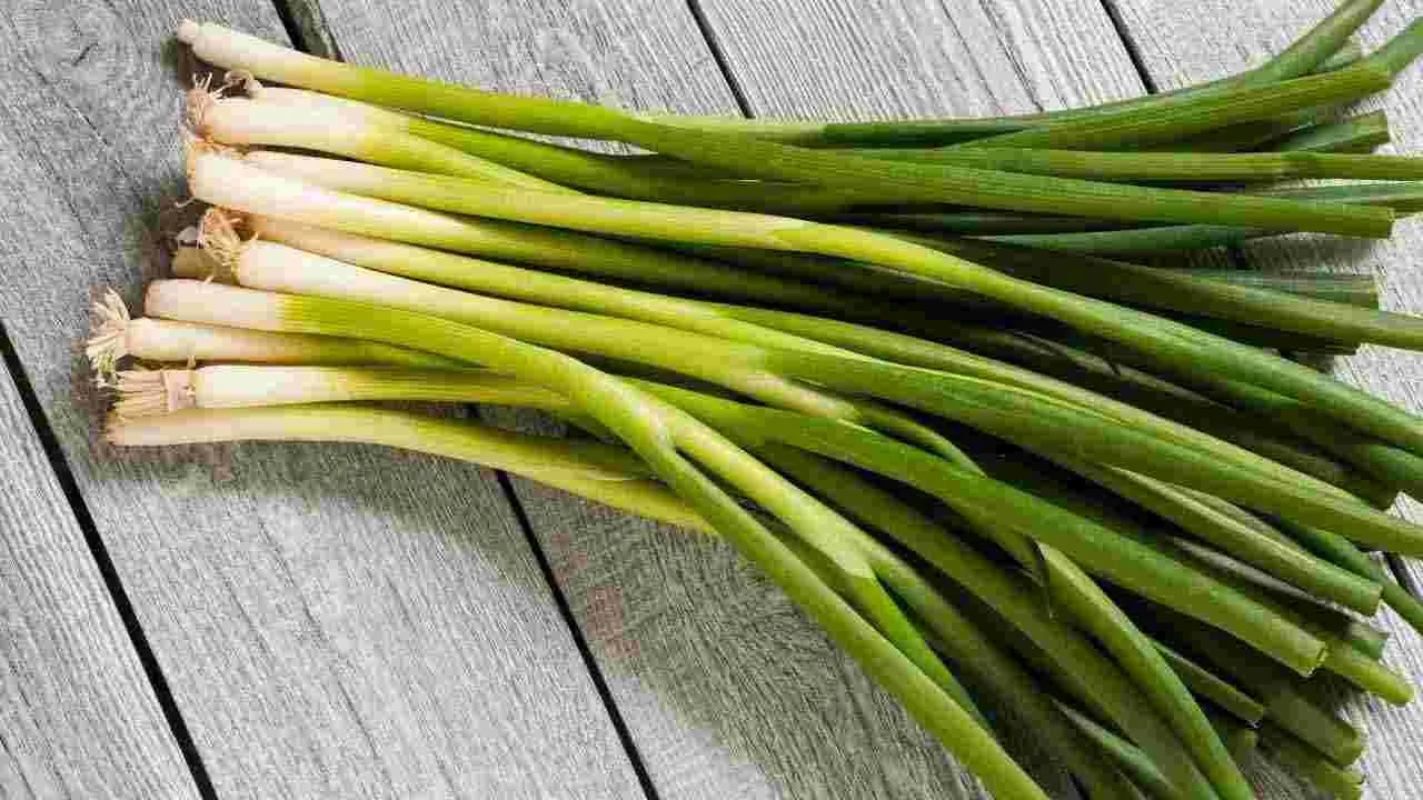 ఉల్లి కాడలు ఆహారంలో చేర్చుకుంటే లాభాలు ఇవే..