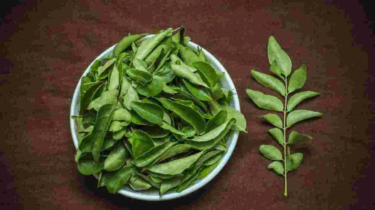 ఖాళీ కడుపుతో ఈ నీరు తాగితే చాలు.. శరీరంలో సమస్యలన్నీ తొలగిపోతాయి.