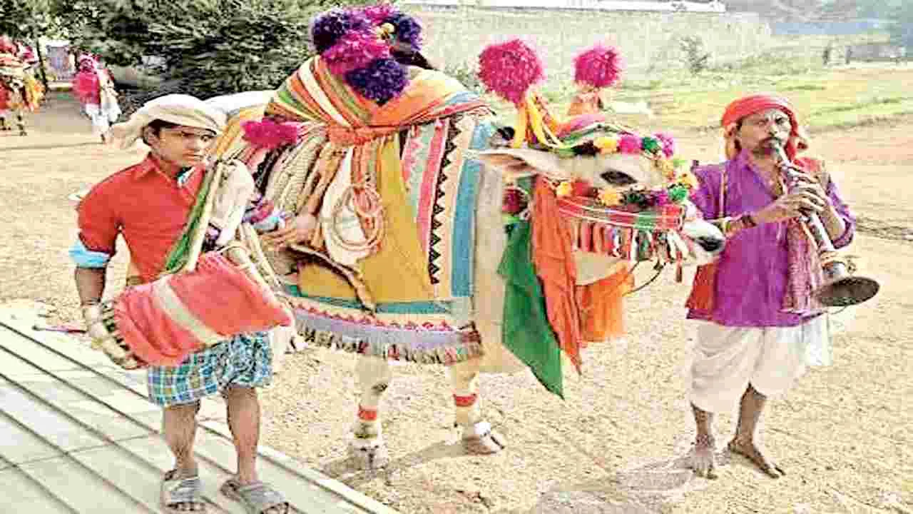 సంక్రాంతి సంప్రదాయాలు వెలుగులెక్కడ?