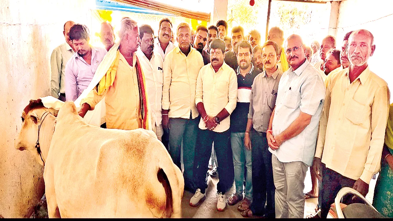 Livestock : పశుసంపదను పెంచుకోవాలి