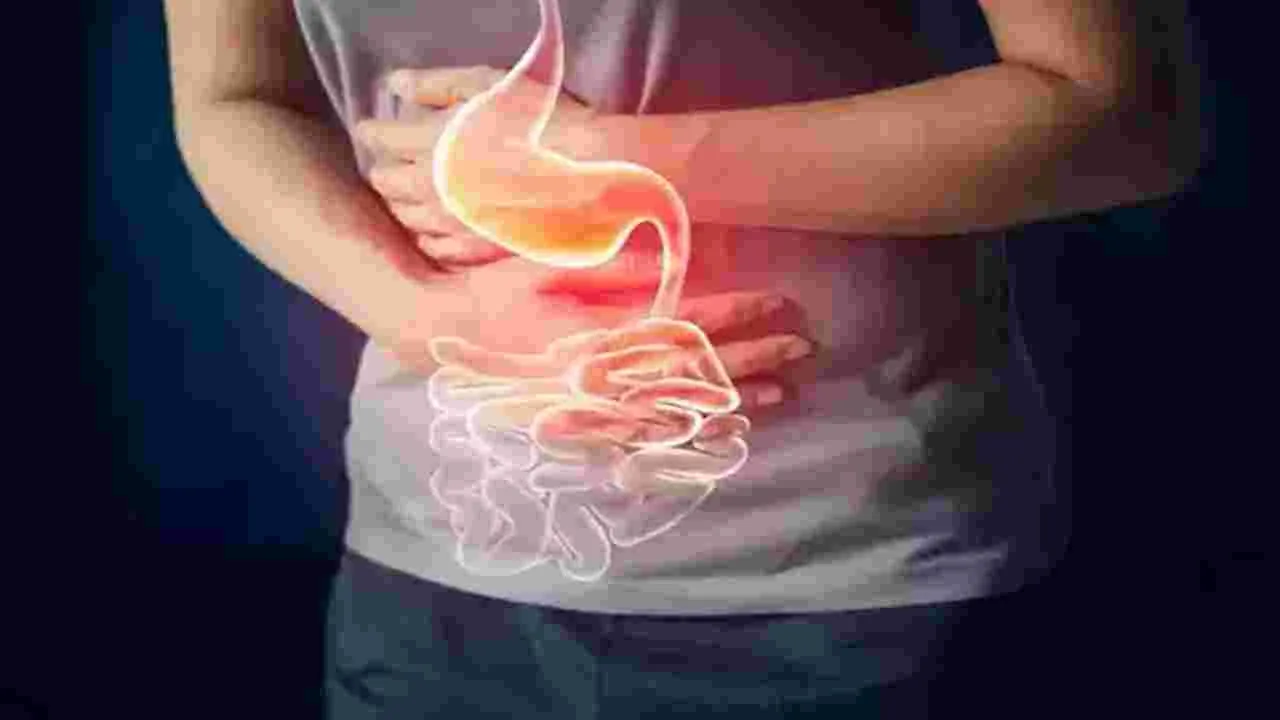 Gastric Issues: గ్యాస్ట్రిక్‌ సమస్యలకు క్యాప్సూల్‌ ఎండోస్కోపీ