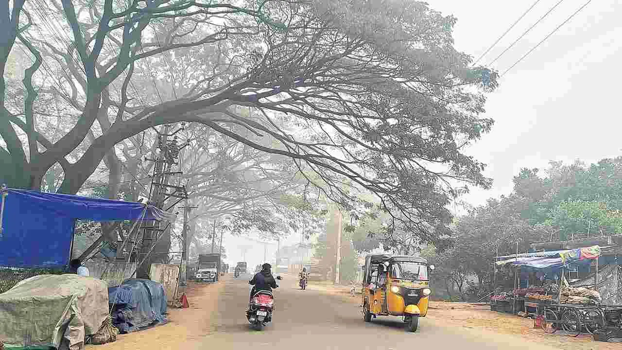 కొనసాగుతున్న చలి తీవ్రత