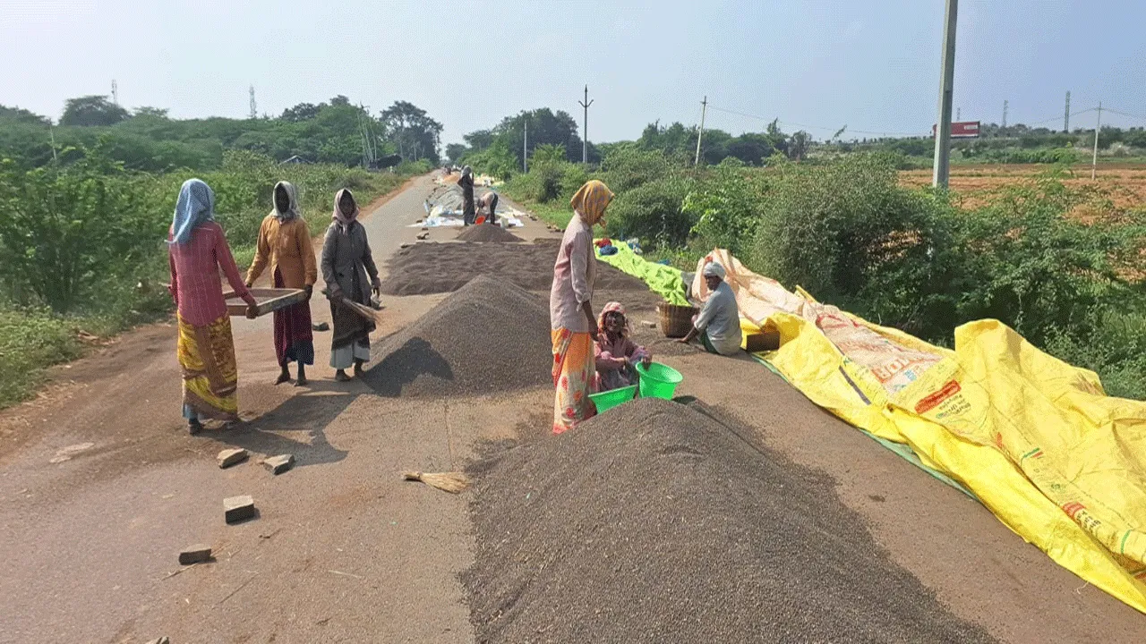 భారీగా తగ్గిన దిగుబడి