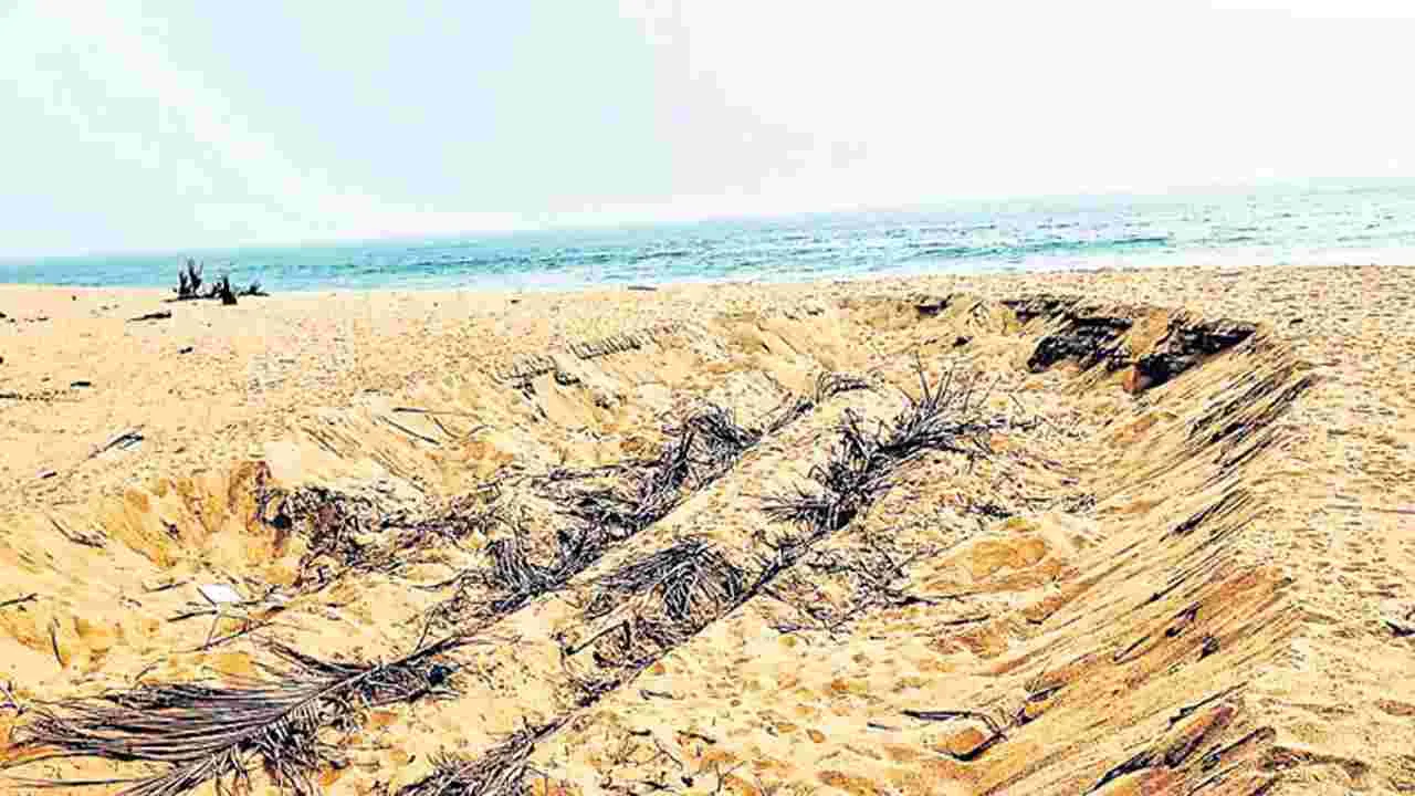 సముద్ర తీరంలో ఇసుక దోపిడీ