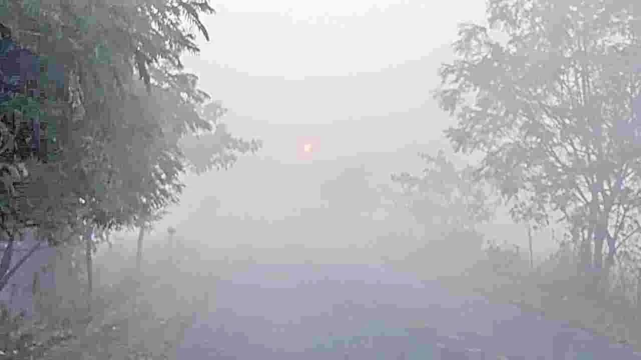 Sangareddy: గజగజ