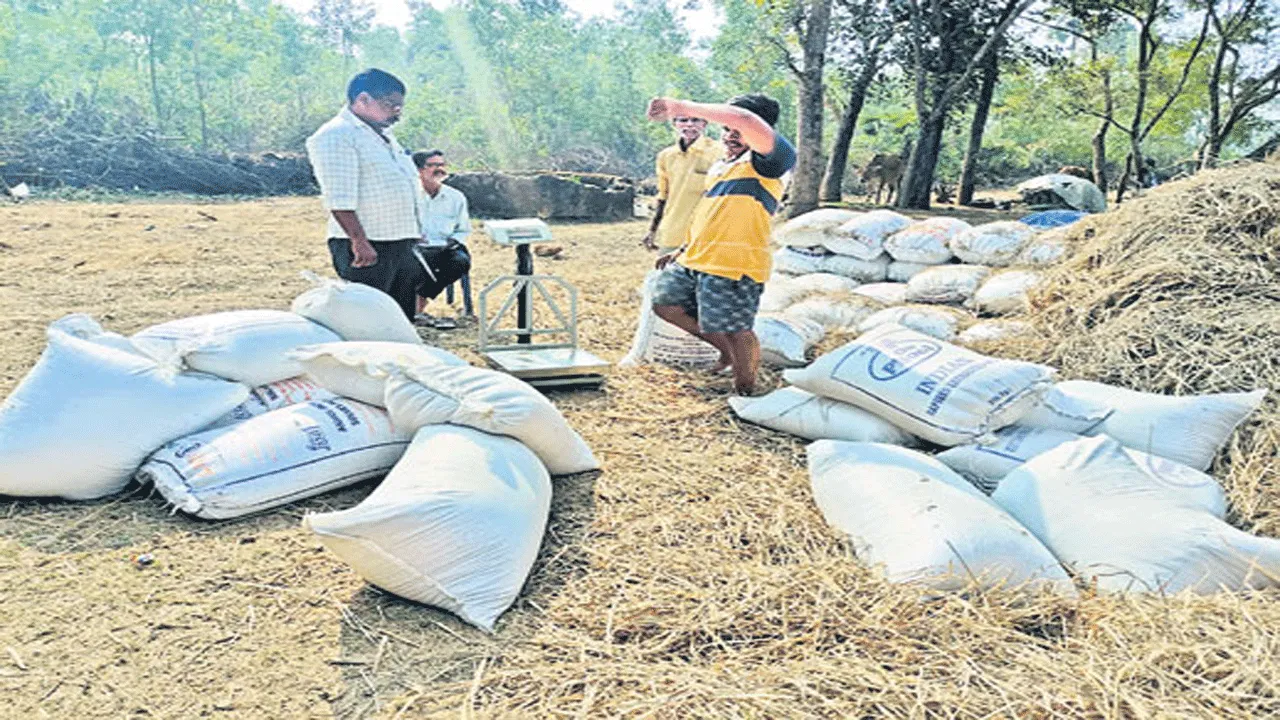 మందగించిన ధాన్యం కొనుగోళ్లు