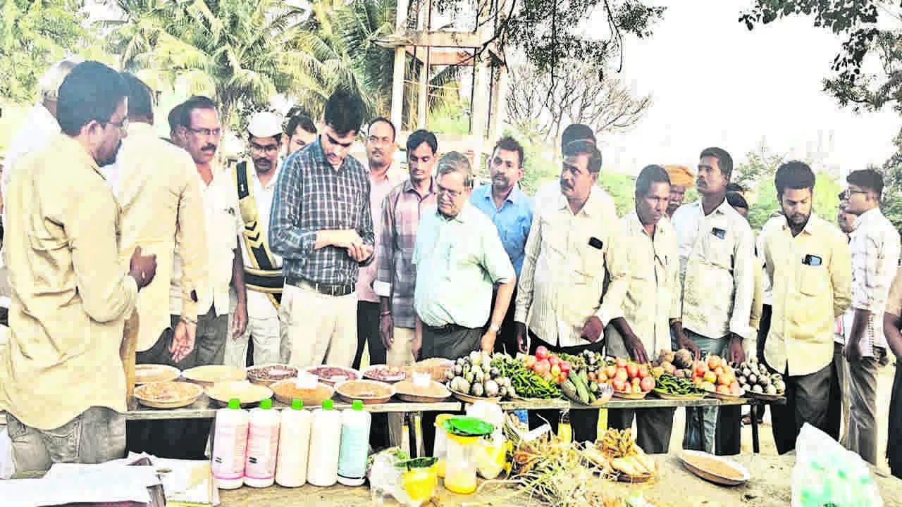 JOINT COLLECTOR: రాగి పంట సాగుతో రైతుల ఆర్థికాభివృద్ధి