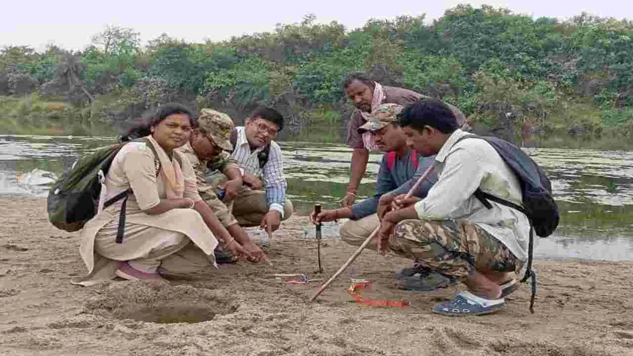 Kumaram Bheem Asifabad: మండలాల్లో పులి భయం..