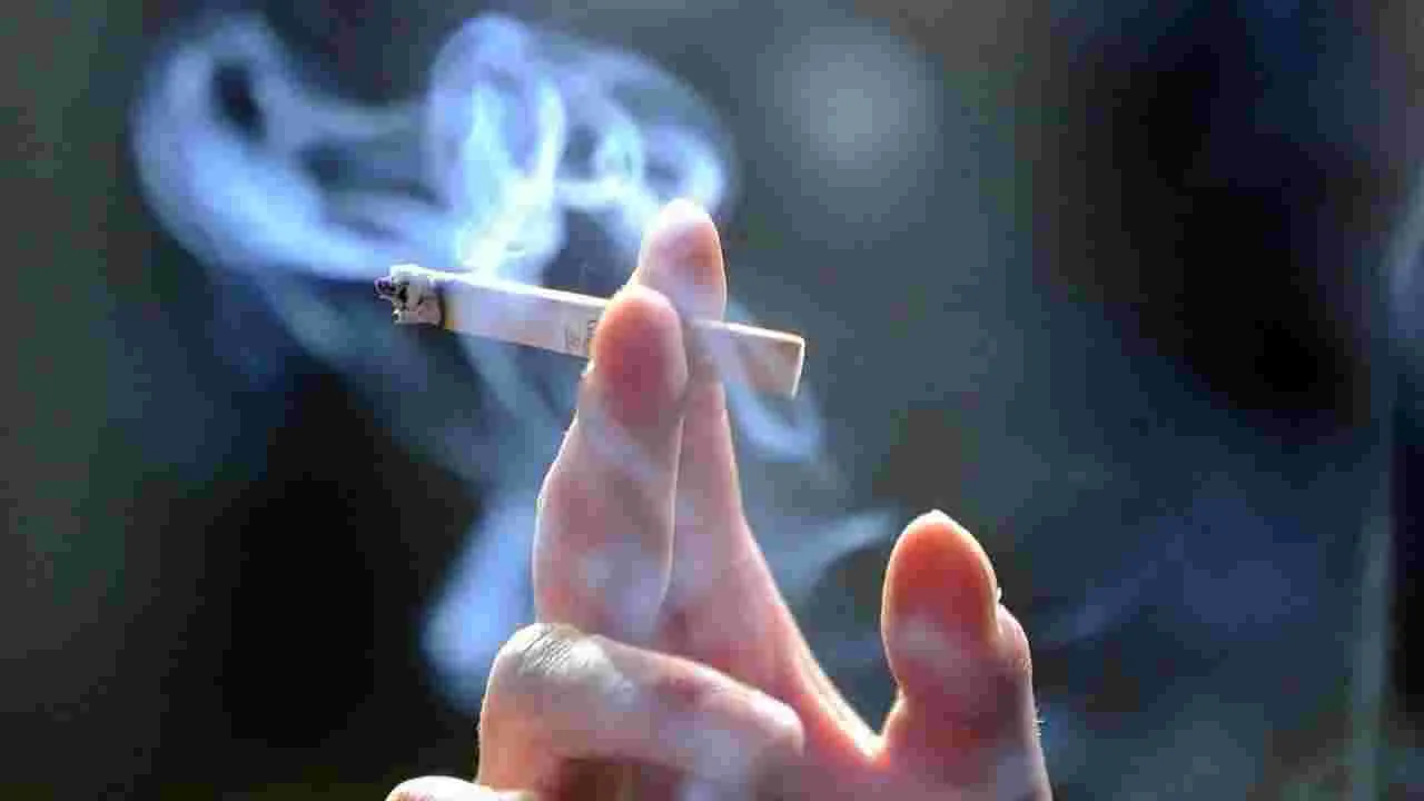 Smoking: రోజుకు ఒక్క సిగరెట్ తాగితే ఏం కాదని అనుకుంటున్నారా? ఇది ఎంతటి ప్రమాదమో తెలిస్తే.. 