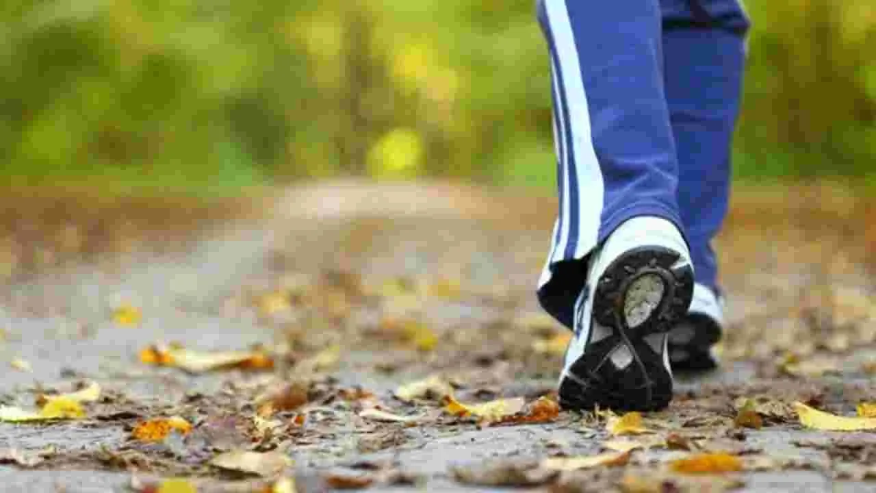 Morning Walk Vs Evening Walk: మార్నింగ్ వాక్.. ఈవినింగ్ వాక్.. ఈ రెండిట్లో ఏది ఎంచుకోవాలంటే.. 