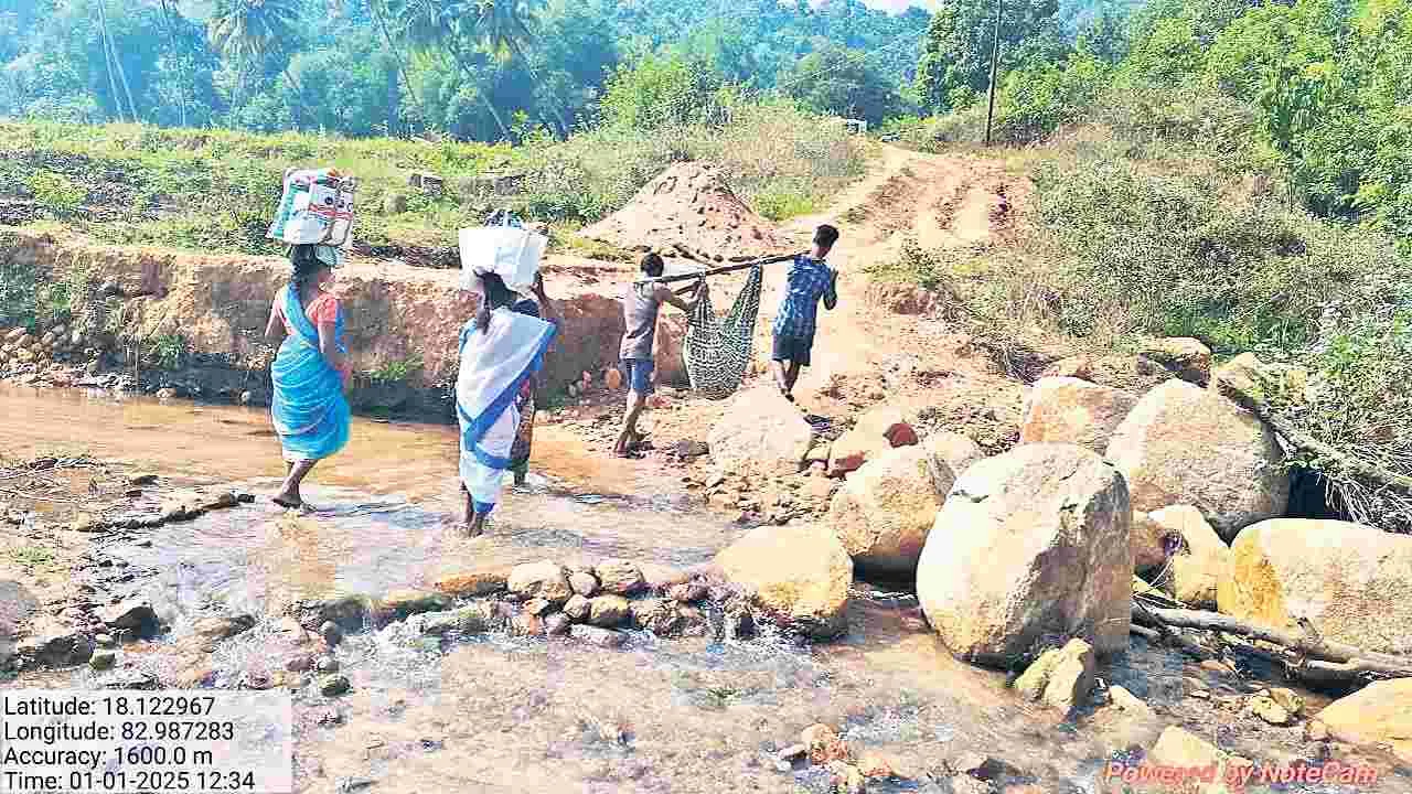 బాలింతకు తప్పని డోలీమోత