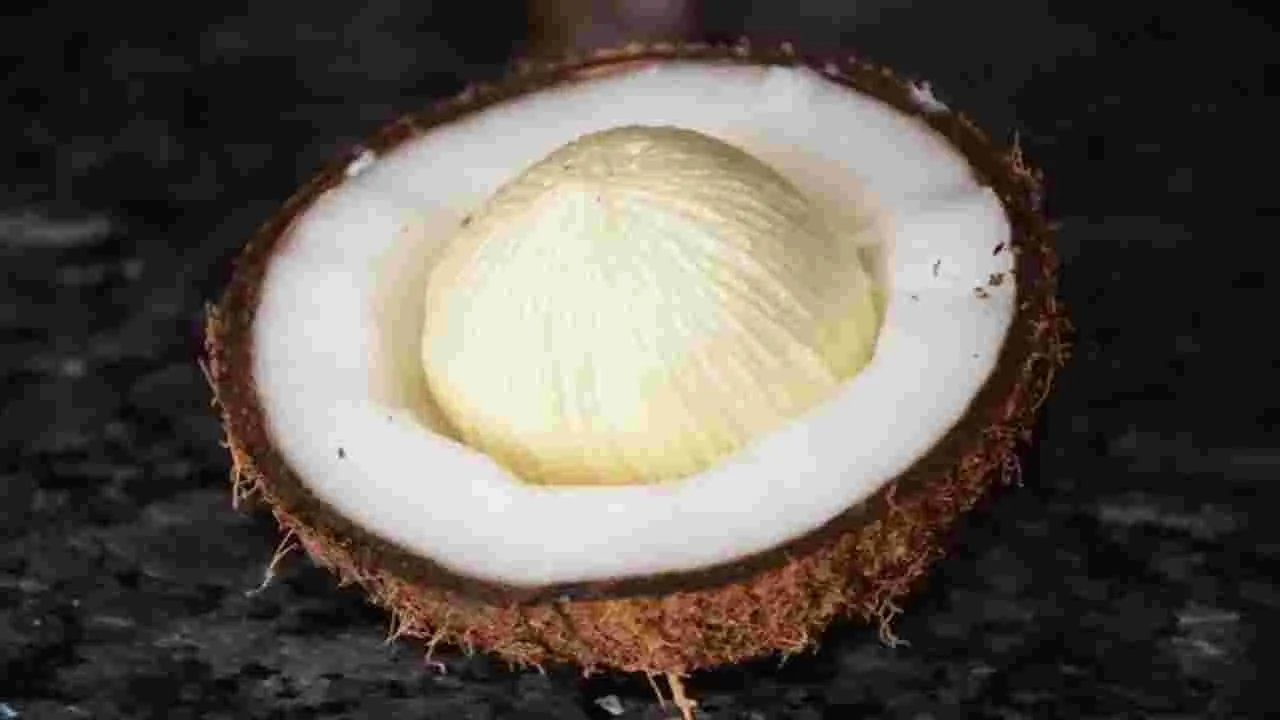 కొబ్బరి పువ్వు తింటే ఇన్ని ఆరోగ్యప్రయోజనాలా..!