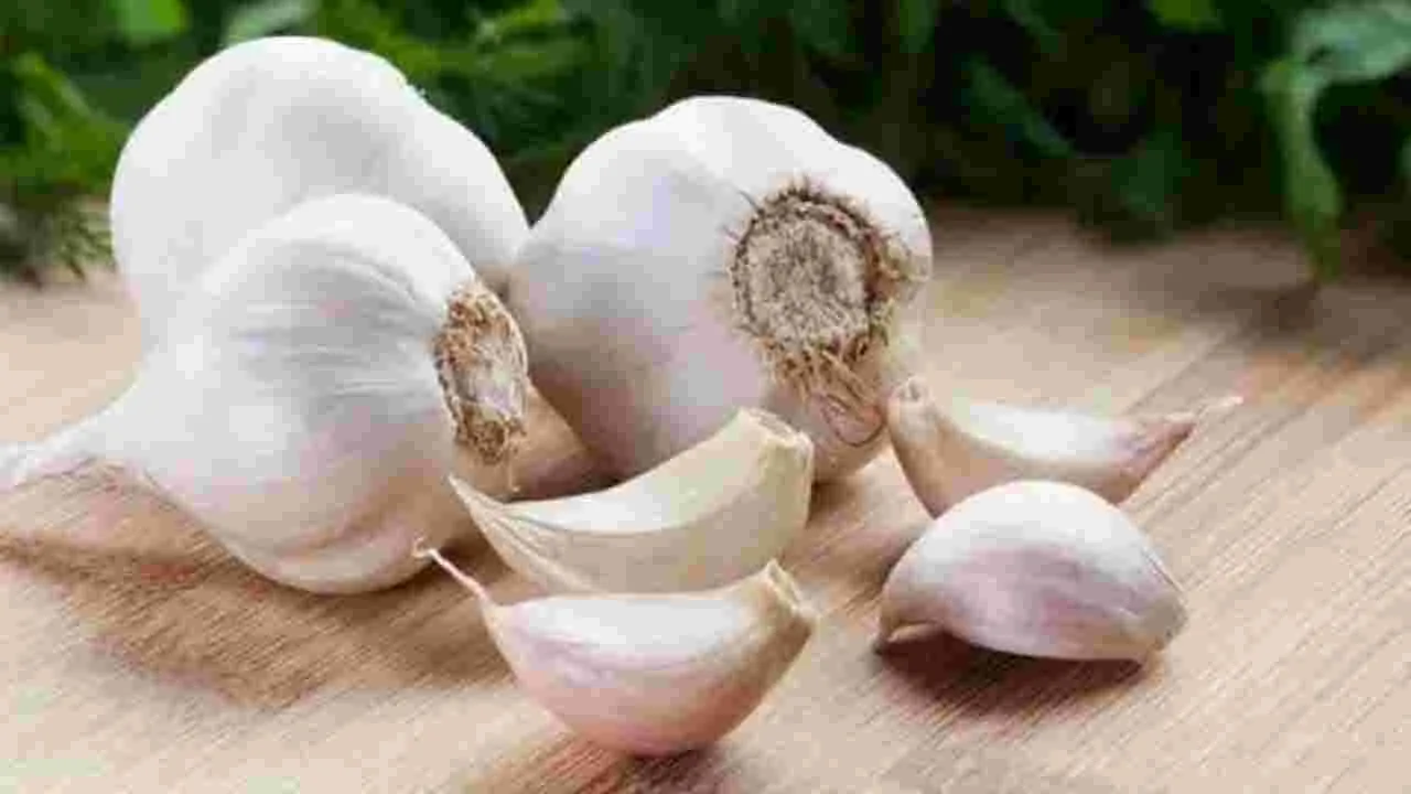 పచ్చి వెల్లుల్లి తినడం వల్ల పొట్ట కొవ్వు తగ్గుతుందా..!