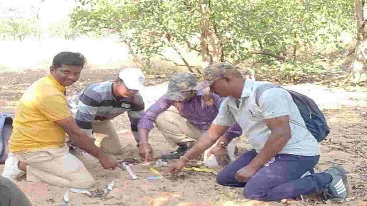 హడలెత్తిస్తున్న బెబ్బులి