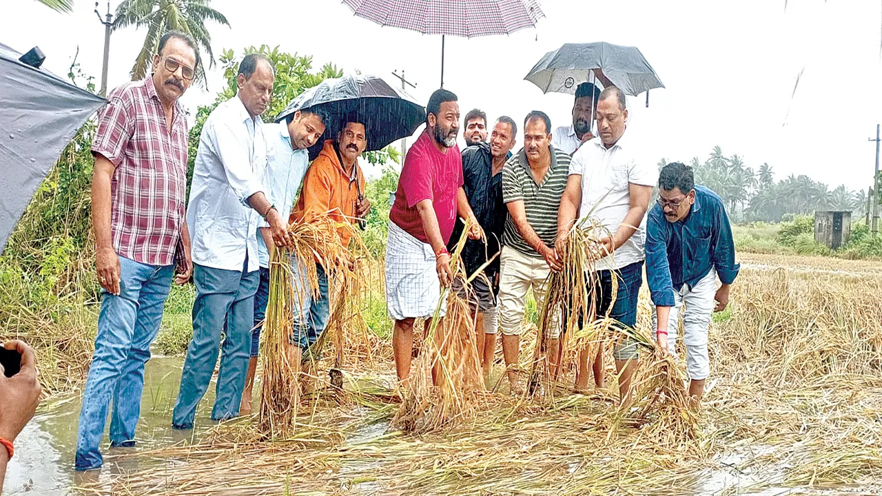 రైతులను ఆదుకుంటాం