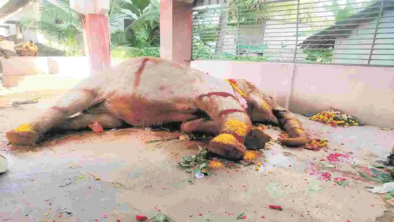 ఇక ఎవరు..ఆశీర్వదిస్తారు!