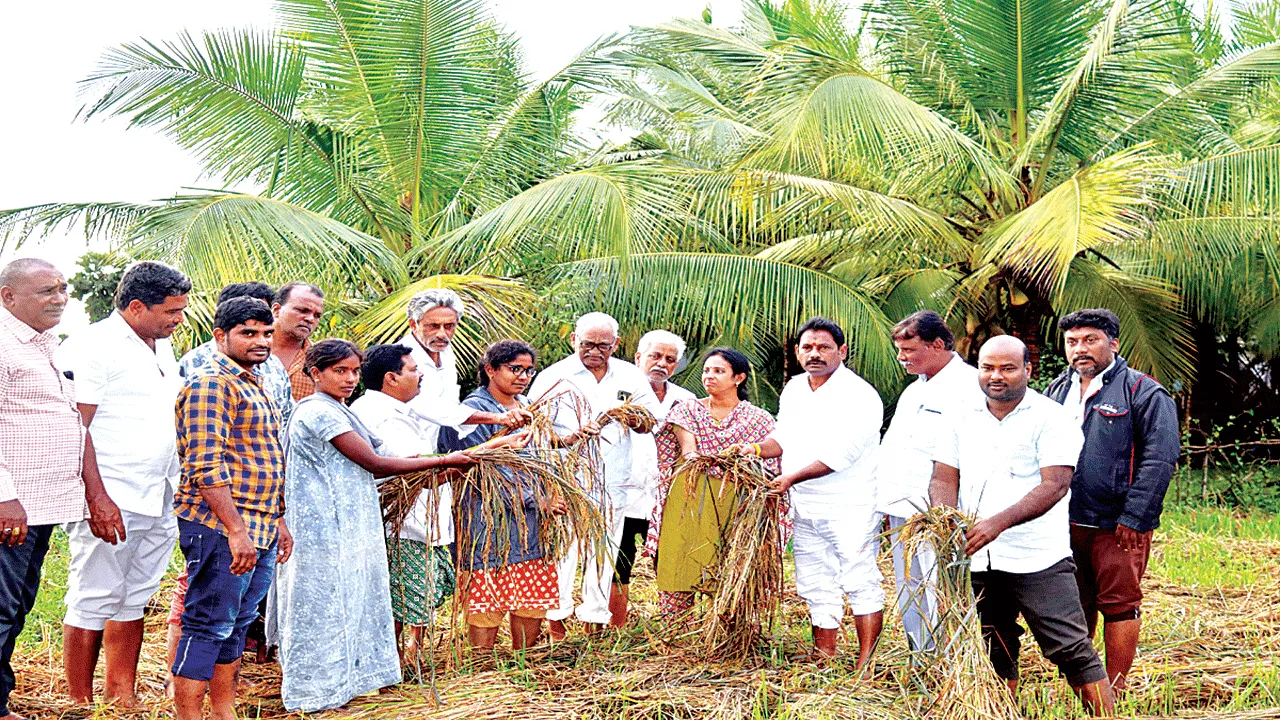 పంట నష్టంపై నివేదిక ఇవ్వండి