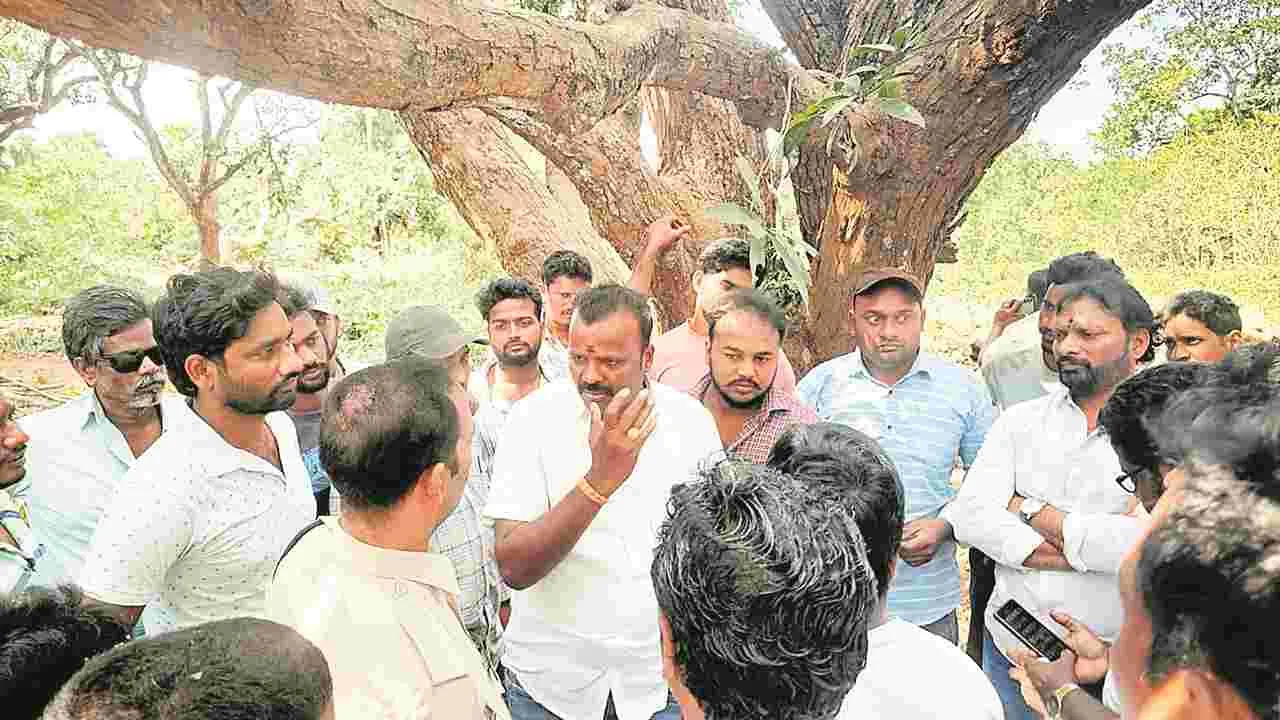 భూమాయ!