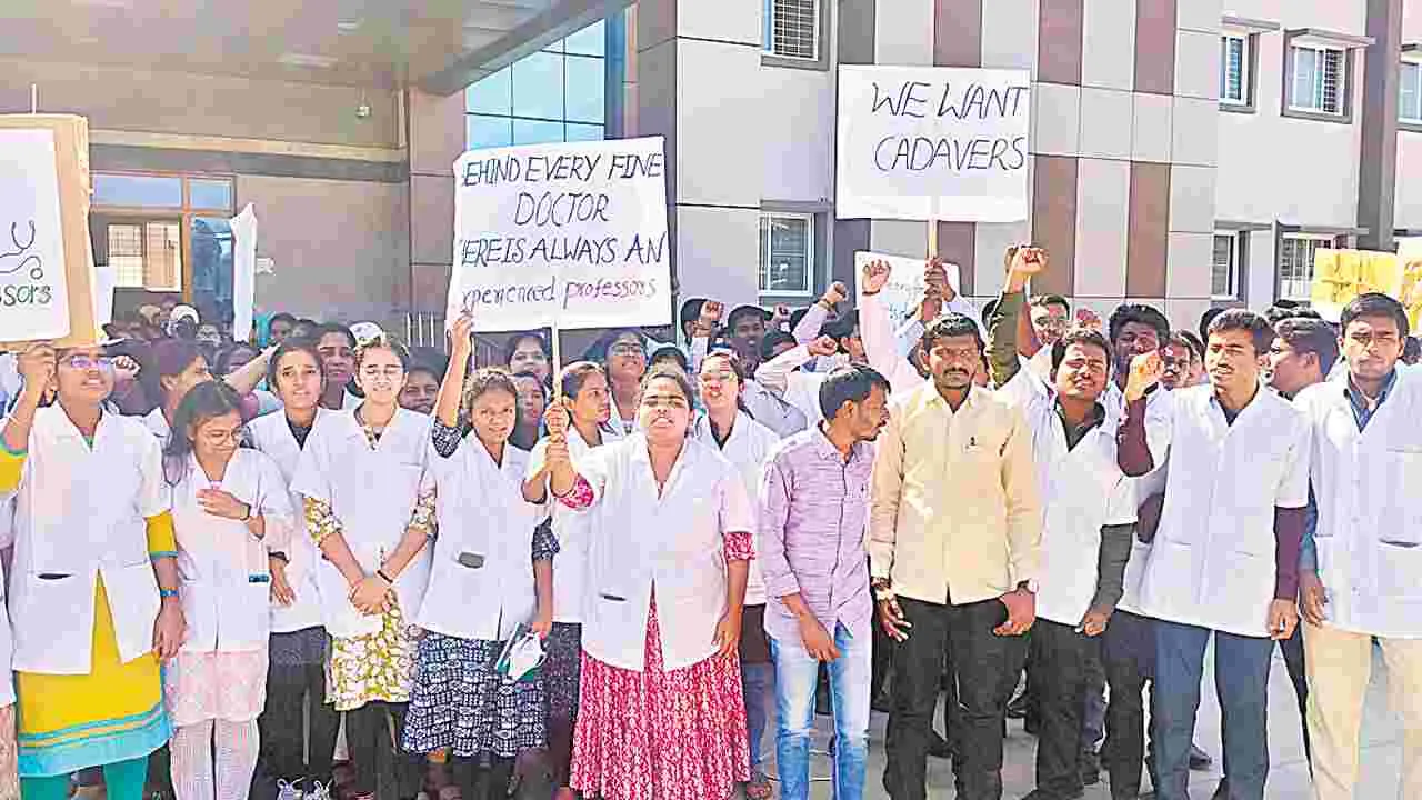 Medical College: ఆసిఫాబాద్‌లో వైద్య విద్యార్థుల ఆందోళన