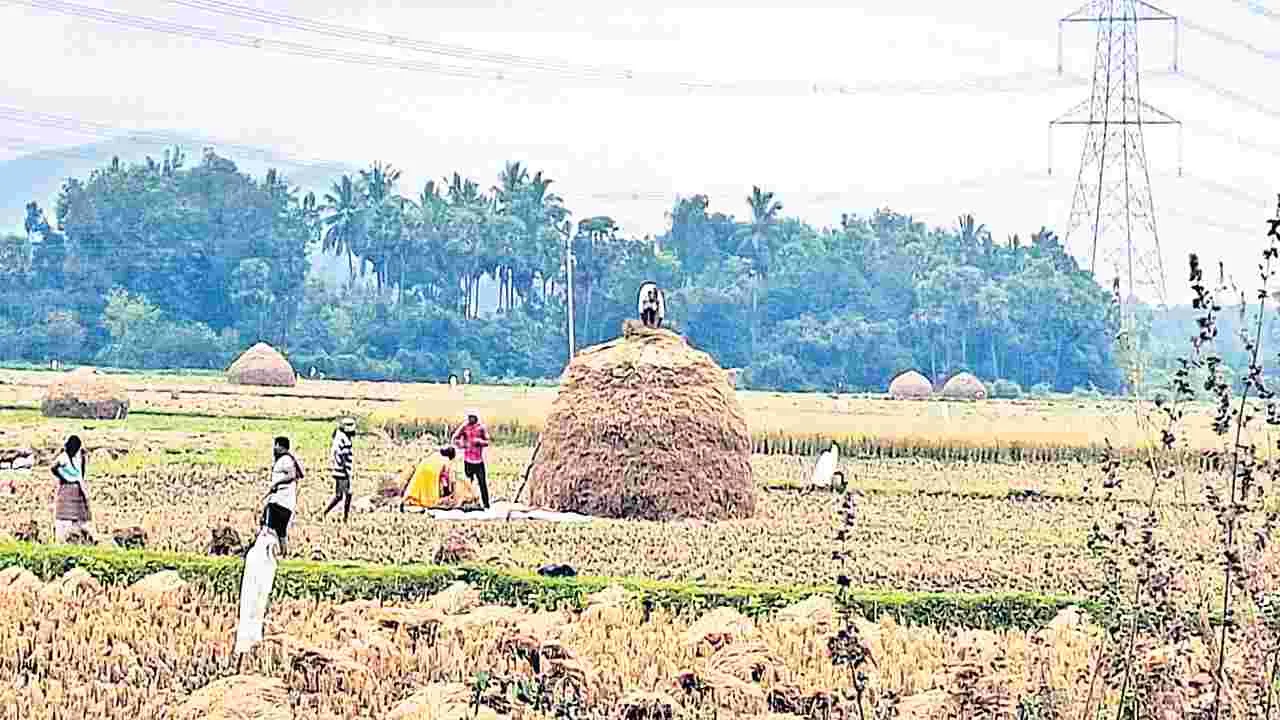 వదలని వాన